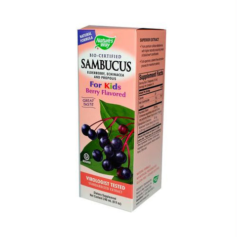 Natures Way Sambucus Kids Syrup Berry - 8 fl oz