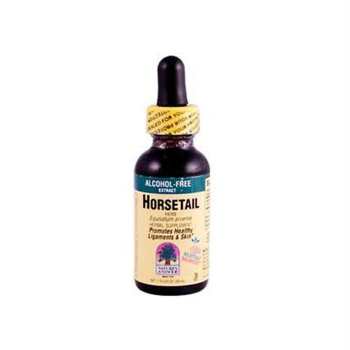 Natures Answer Horsetail Herb Alcohol Free - 1 fl oz