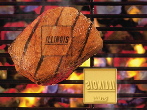 FanMats University of Illinois Grilling Fanbrand