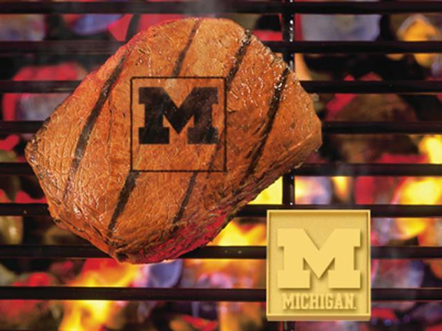 FanMats University of Michigan Grilling Fanbrand