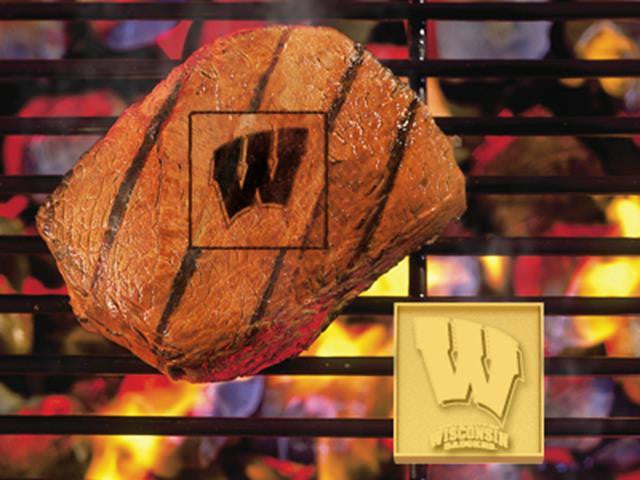 FanMats University of Wisconsin Grilling Fanbrand