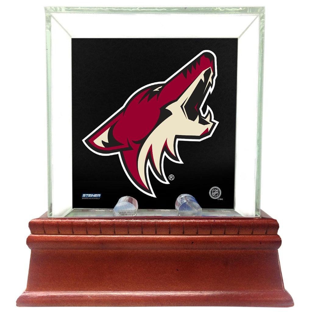 Arizona Coyotes Glass Single Puck Case with Team Logo Background