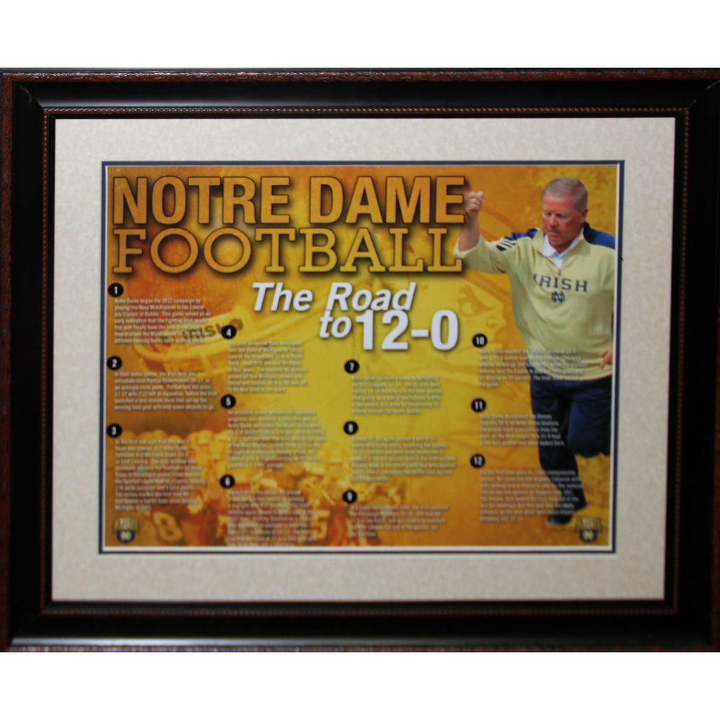 Brian Kelly Framed 16x20 12-0 Collage (20x24 - 7510)