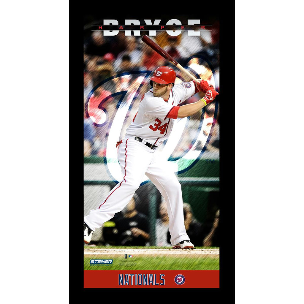 Bryce Harper Washington Nationals Player Profile Wall Art 9.5x19 Framed Photo