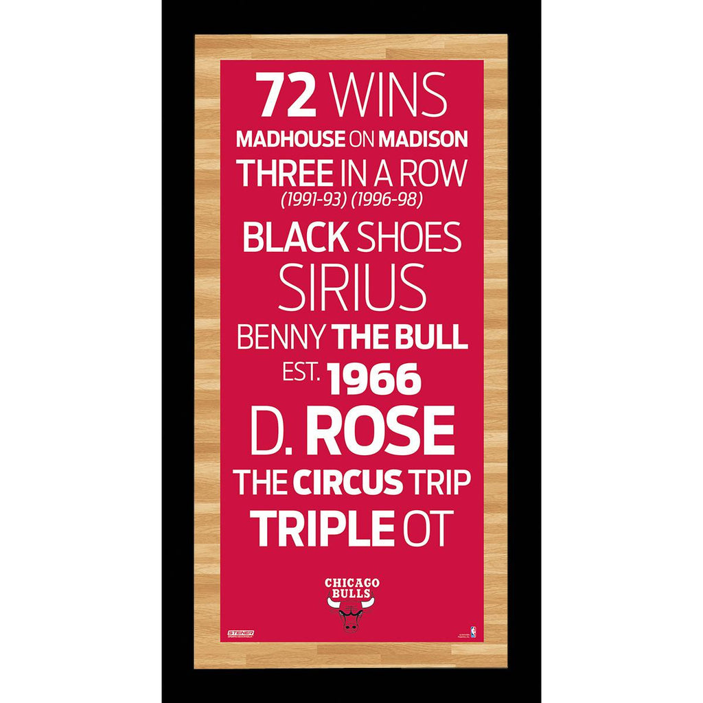 Chicago Bulls Subway Sign Wall Art 9.5x19 Photo