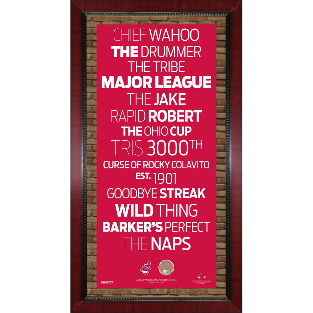 Cleveland Indians Subway Sign Wall Art 16x32 Frame w Authentic Dirt from Jacobs Field