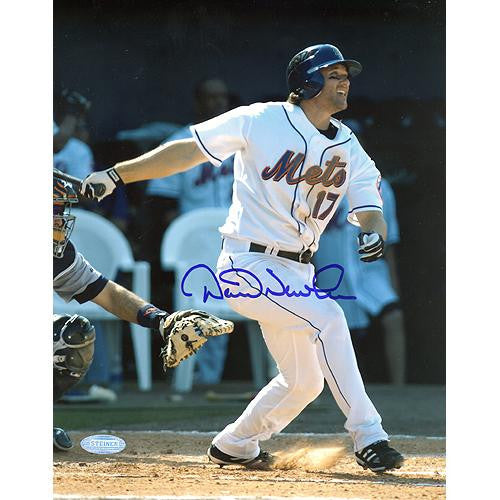 David Newhan Batting 8x10