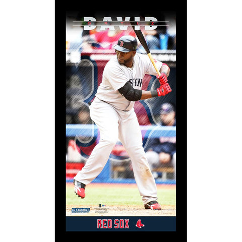 David Ortiz Boston Red Sox Player Profile Wall Art 9.5x19 Framed Photo