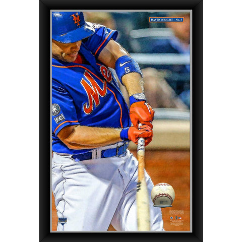 David Wright 20x32 Baseball Holder Display w Game-Used Baseball (baseball is removable)