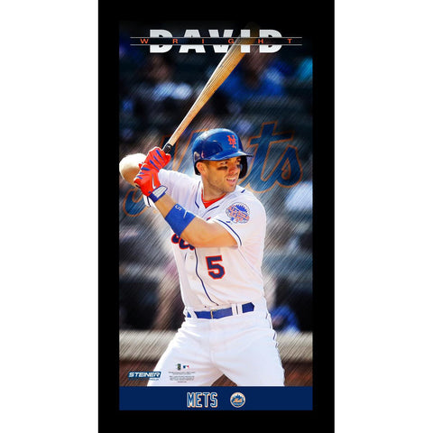 David Wright New York Mets Player Profile Wall Art 9.5x19 Framed Photo