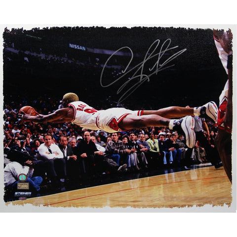 Dennis Rodman Signed The Dive 22x26 Canvas