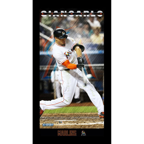 Giancarlo Stanton Miami Marlins Player Profile Wall Art 9.5x19 Framed Photo