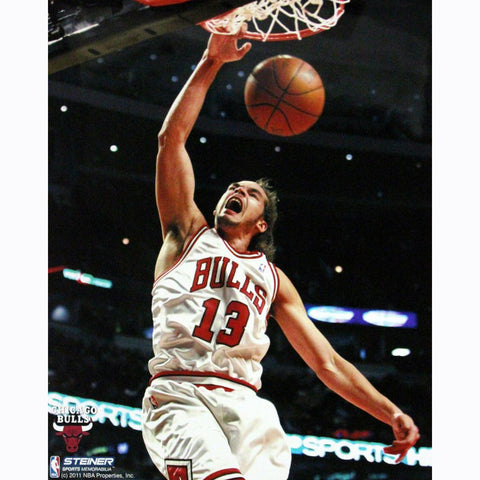 Joakim Noah Dunk Over Close Up Vertical 16x20 Photo (Getty 103241430)-