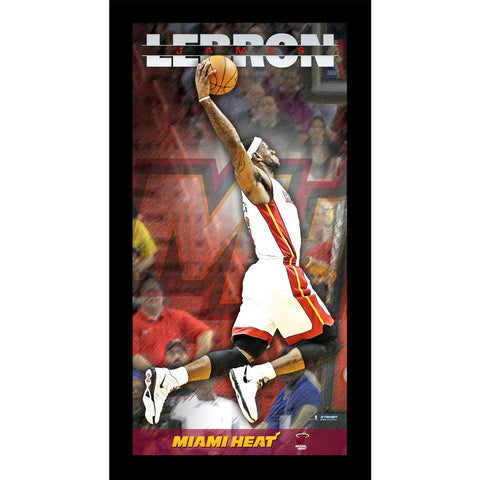 LeBron James Miami Heat Player Profile Wall Art 9.5x19 Framed Photo