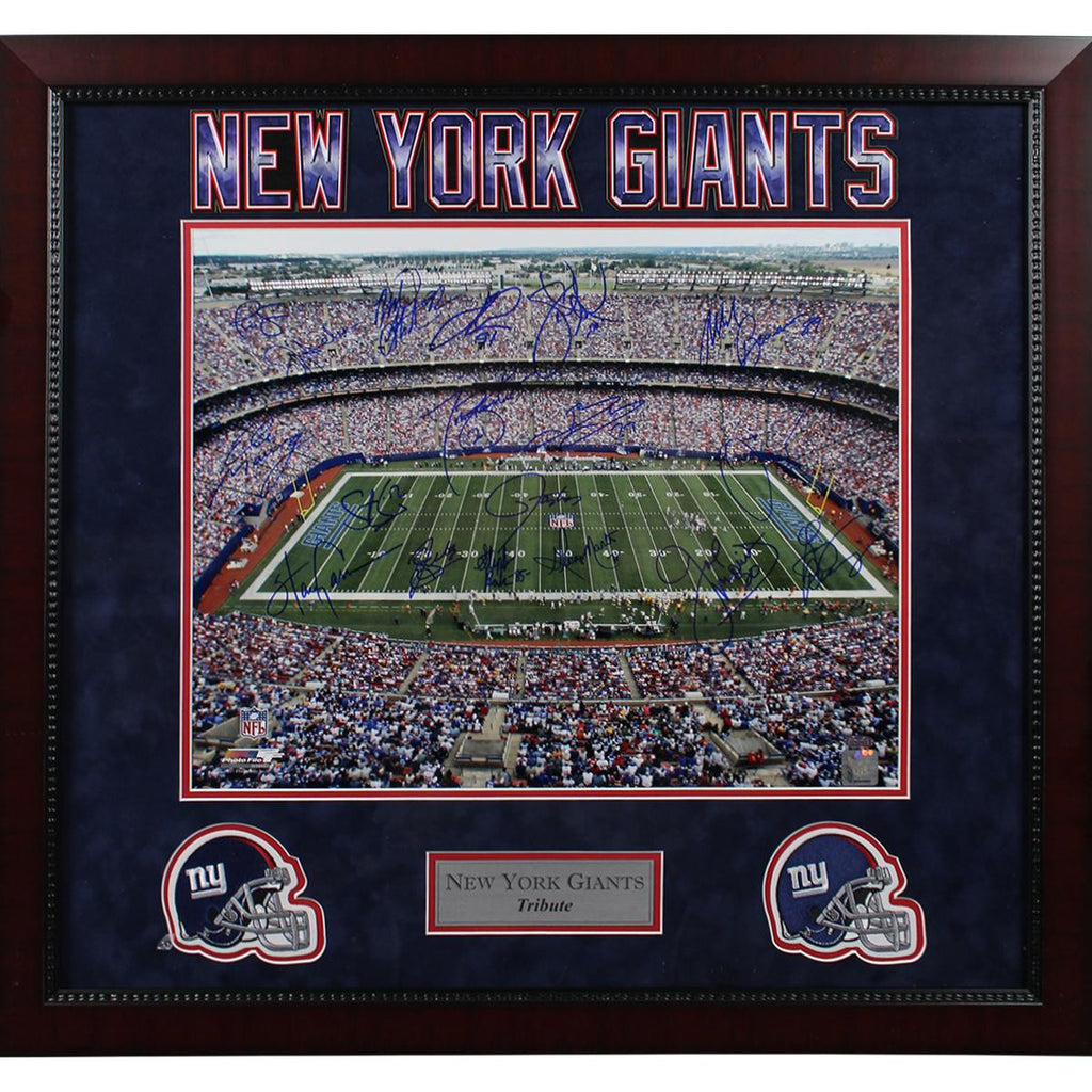 NY Giants Greats Multi Signed Stadium Shot 16x20 Photo (18 Sig) Elite Framed