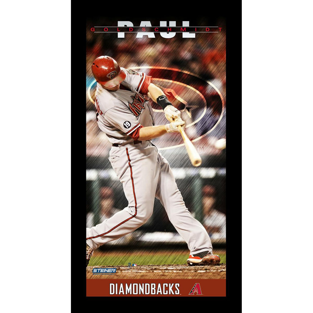 Paul Goldschmidt Arizona Diamondbacks Player Profile Wall Art 9.5x19 Framed Photo