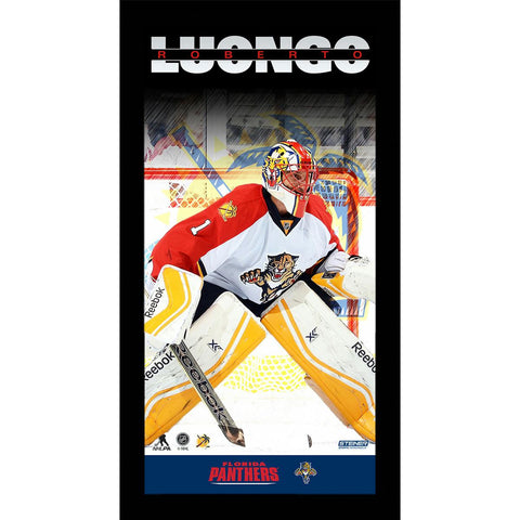 Roberto luongo Player Profile 10x20 Framed Photo