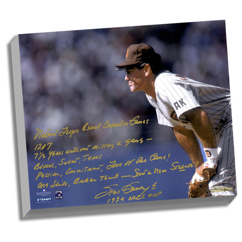 Steve Garvey Facsimile NL Consecutive Streak Story Stretched 16x20 Story Canvas