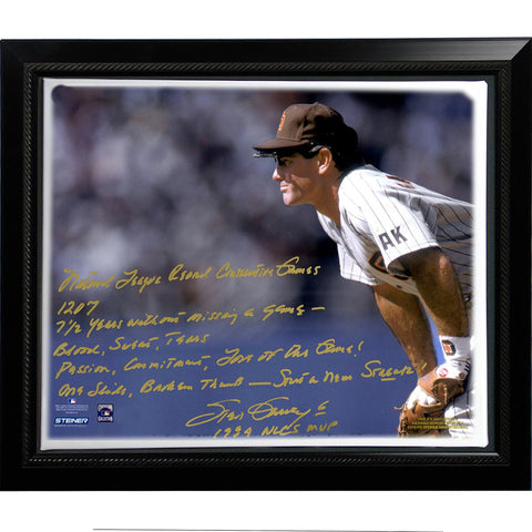 Steve Garvey Facsimile NL Consecutive Streak Story Stretched Framed 22x26 Story Canvas