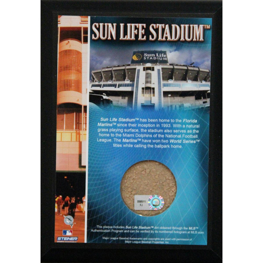 Sun Life Field 4x6 Dirt Plaque