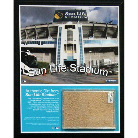 Sun Life Field 8x10 Dirt Plaque