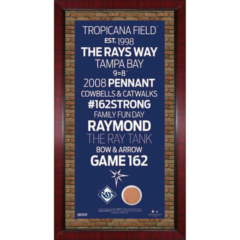 Tampa Bay Rays Subway Sign 16x32 Frame w auth Dirt from Tropicana Field