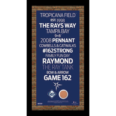 Tampa Bay Rays Subway Sign 9.5x19 Frame w auth Dirt from Tropicana Field