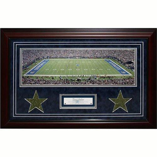 Texas Stadium Framed 18x29 Turf Collage