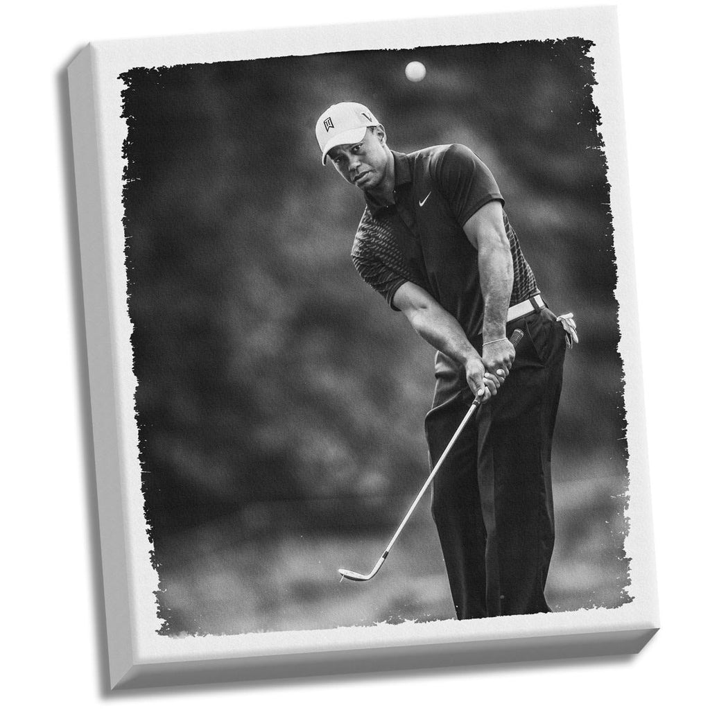 Tiger Woods Stretched 22x26 Canvas