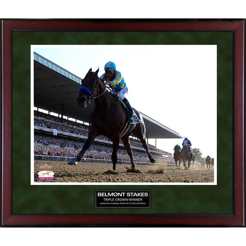 Victor Espinoza Winning 2015 Belmont Stakes 16x20 Framed Collage w Nameplate