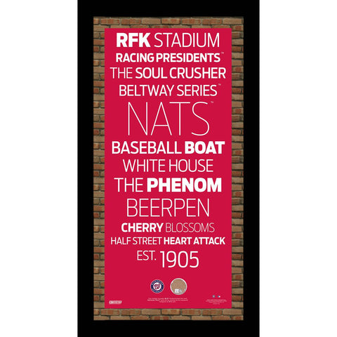 Washington Nationals Subway Sign Wall Art 9.5x19 Frame w Authentic Dirt from Nationals Park